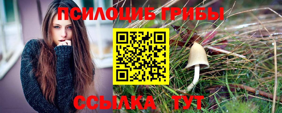 Псилоцибиновые грибы прущие грибы  Псилоцибиновые грибы мицелий  Дедовск  Вход с VPN 